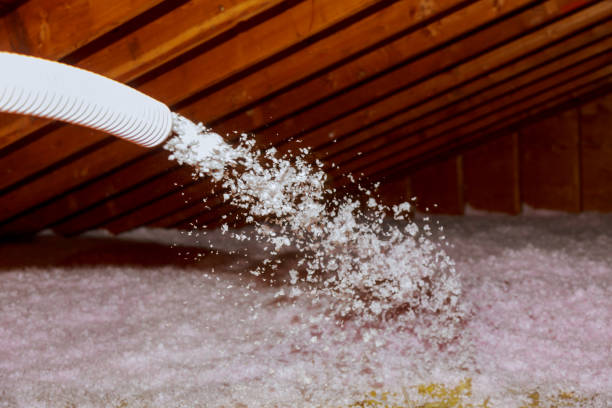 Best Commercial Insulation in Port Oconnor, TX